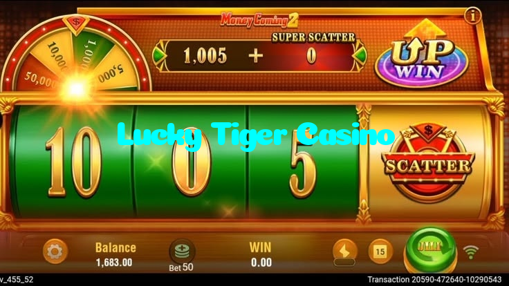 available types of Lucky Tiger Casino bet including pre-match live express and system bets