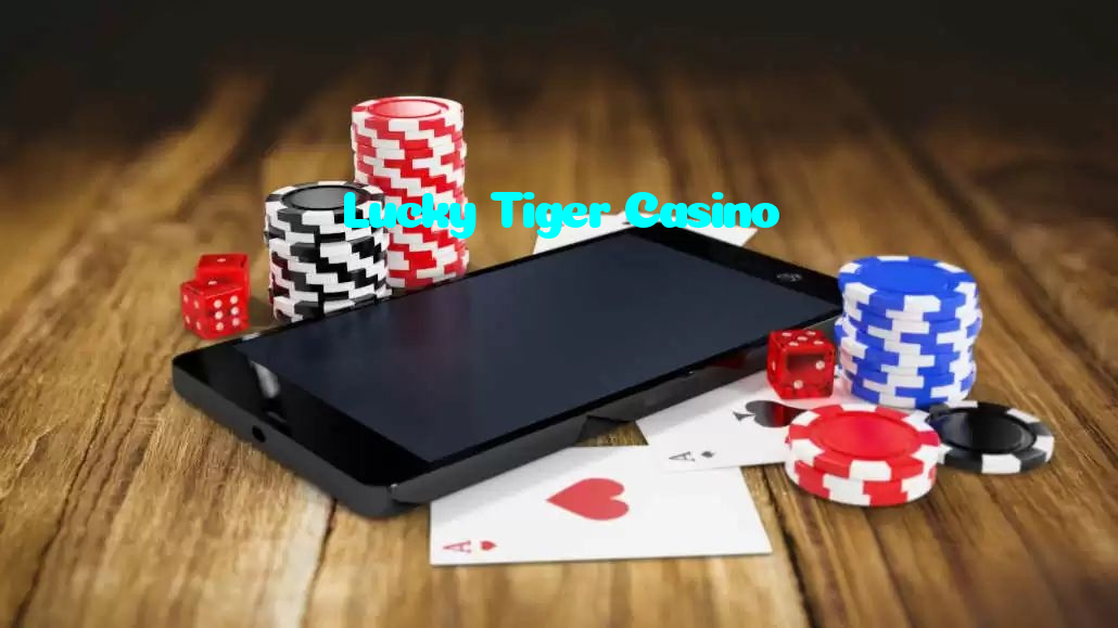 available types of Lucky Tiger Casino bet including pre-match live express and system bets
